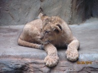 IMG_2047.jpg, 23kB